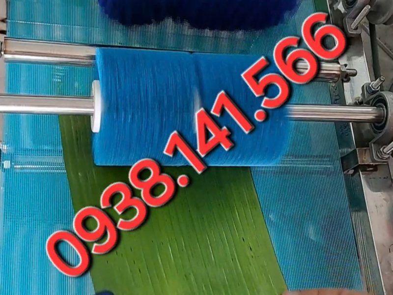 AUTOMATIC BANANA LEAF AND DONG LEAF WASHING MACHINE